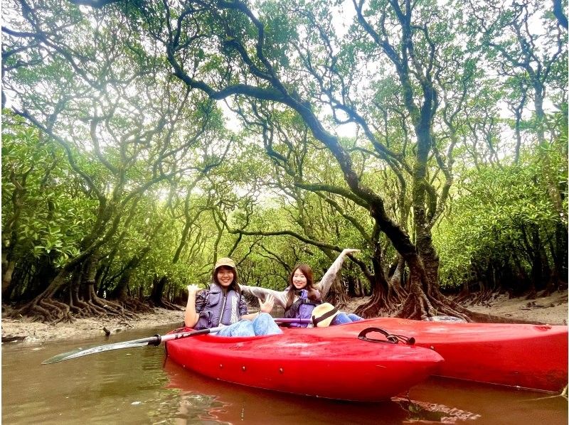 【奄美大島】カップル旅・グループ旅の方にオススメ！３名様までは無料送迎付き！(６０分〜)１組限定貸切マングローブカヌーツアー！の紹介画像