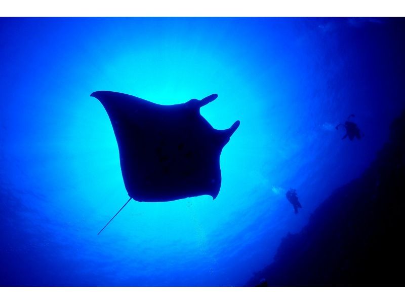 [Okinawa, Ishigaki Island] Quick and easy diving experience ♪の紹介画像