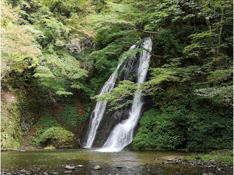 【秋田・白神山地】白神の恵みを大満喫！えらべるおみやげ付き♪おとなの遠足ツアー　味噌づくり、白神ラムジンギスカン、滝巡り、温泉てんこ盛り！の紹介画像