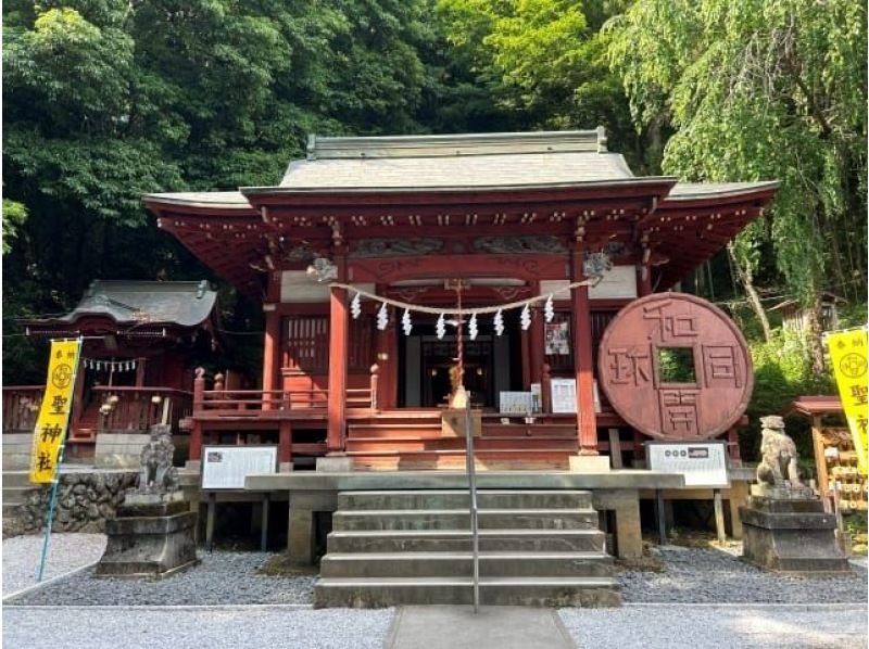 最強開運日の天赦日×一粒万倍日にめぐる！特急列車ラビューで行く秩父寺社5か所の金運めぐりさんぽツアー【029029-1399】の紹介画像