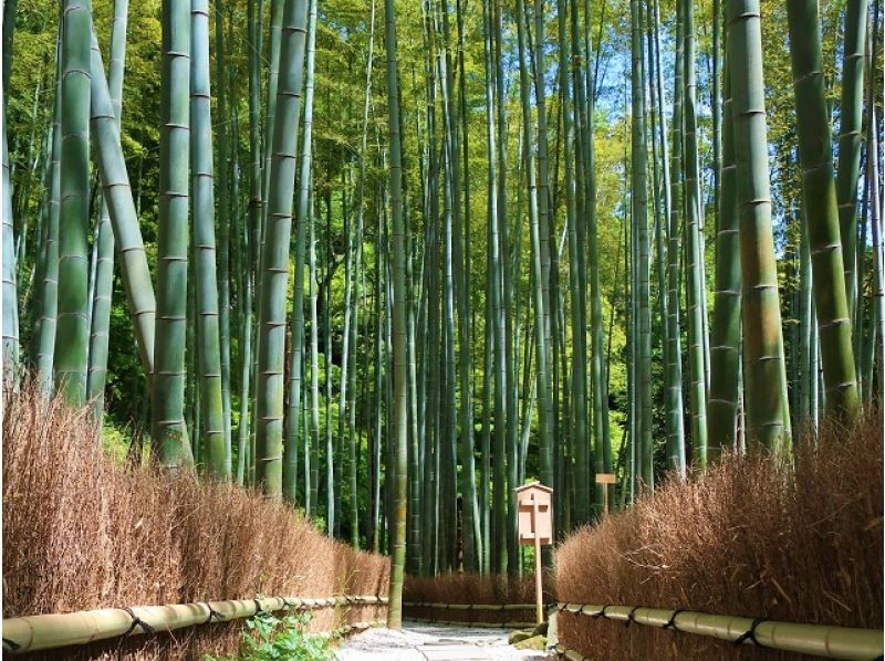 梅咲く鎌倉神社めぐり＆美しい竹の庭「報国寺」参拝ツアー　～老舗・鎌倉峰本にて創作精進料理のご昼食付～【029029‐1043】の紹介画像