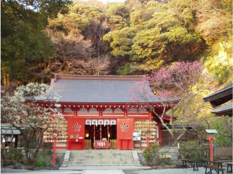 梅咲く鎌倉神社めぐり＆美しい竹の庭「報国寺」参拝ツアー　～老舗・鎌倉峰本にて創作精進料理のご昼食付～【029029‐1043】の紹介画像