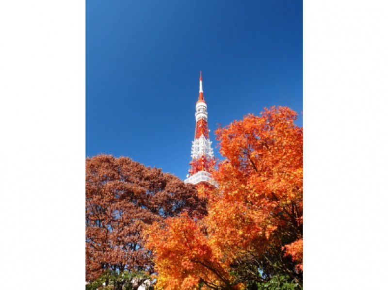 まるで都心の京都「九品仏浄真寺」＆都内を彩る紅葉スポットめぐりバスツアー　～伊勢海老御膳のご昼食付～【029029‐961】の紹介画像