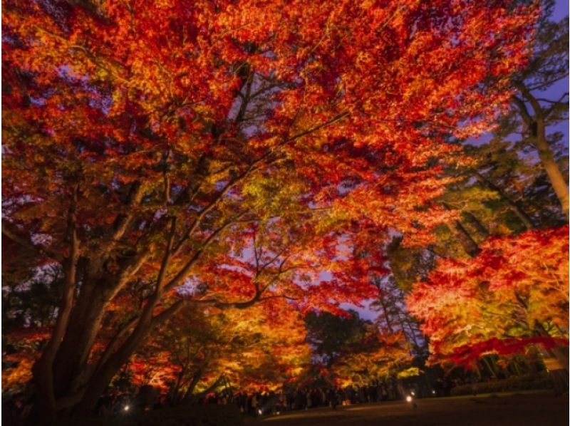 まるで都心の京都「九品仏浄真寺」＆都内を彩る紅葉スポットめぐりバスツアー　～伊勢海老御膳のご昼食付～【029029‐961】の紹介画像