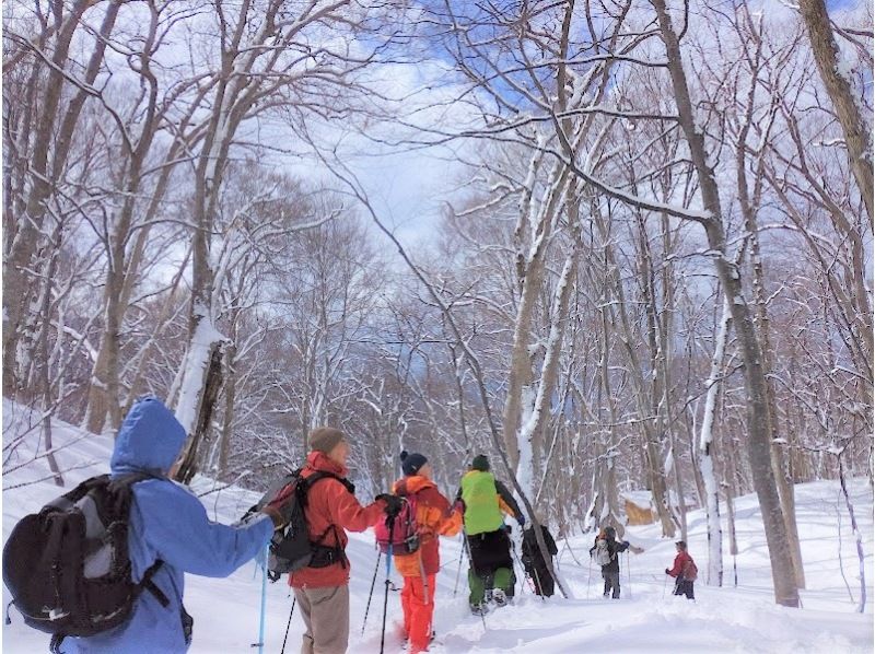 【秋田・白神山地】白神スノートレッキング★送迎応相談/焼きマシュマロ、コーヒー付き・写真データプレゼント。初心者歓迎！の紹介画像