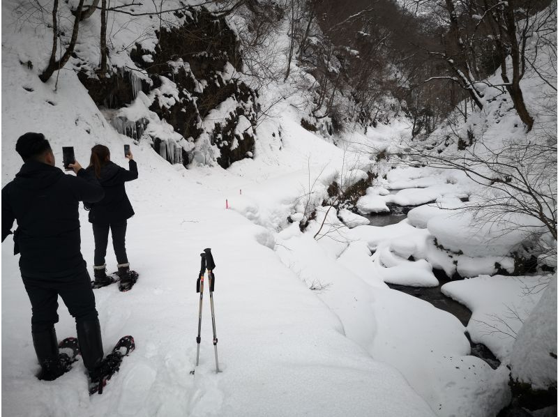 [Akita・Shirakami-Sanchi] Shirakami Snow Trekking★Pick-up and drop-off available/Roasted marshmallows, coffee included・Photo data gift. Beginners welcome!の紹介画像