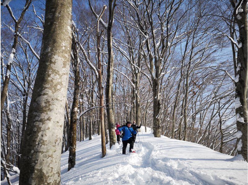 【秋田・白神山地】白神スノートレッキング★焼きマシュマロ、コーヒー付き・写真データプレゼント。初心者歓迎！の紹介画像