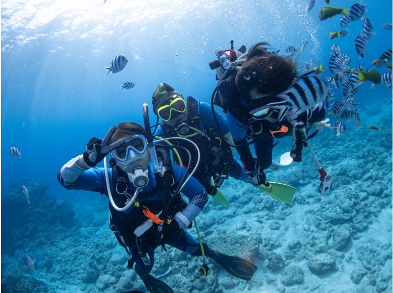 【沖縄・ゴリラチョップ】体験ダイビングコース！高画質！GoPro水中動画プレゼント！広がるサンゴ礁と美しい白浜の海へGO！