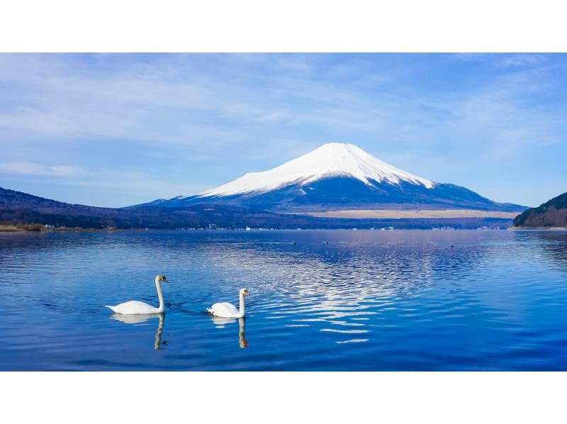 箱根神社 & 芦ノ湖海上鳥居 & 箱根海賊船 & 大涌谷 & 山中湖富士 箱根日帰りツアー（東京発）の紹介画像