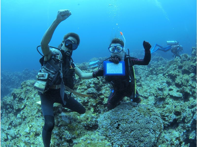 Summer vacation special price! [Okinawa, Ishigaki Island] Safe even for beginners ♪ 1-day trial diving courseの紹介画像