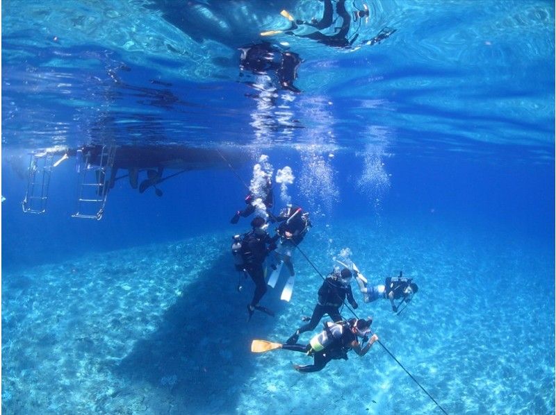 【沖縄】慶良間諸島 体験ダイビング日帰り1日プランの紹介画像