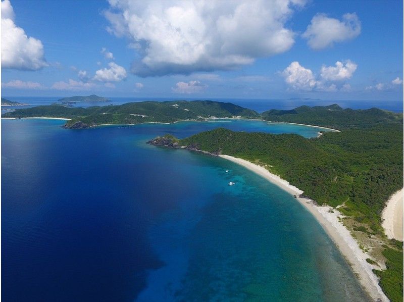 【沖縄】慶良間諸島 体験ダイビング日帰り1日プランの紹介画像
