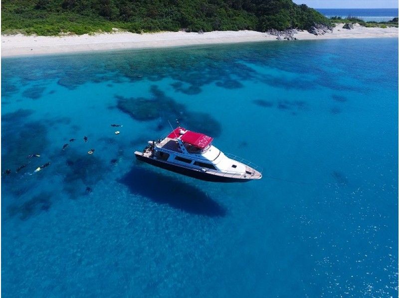 [Okinawa]Kerama Islands Experience Diving One day trip planの紹介画像