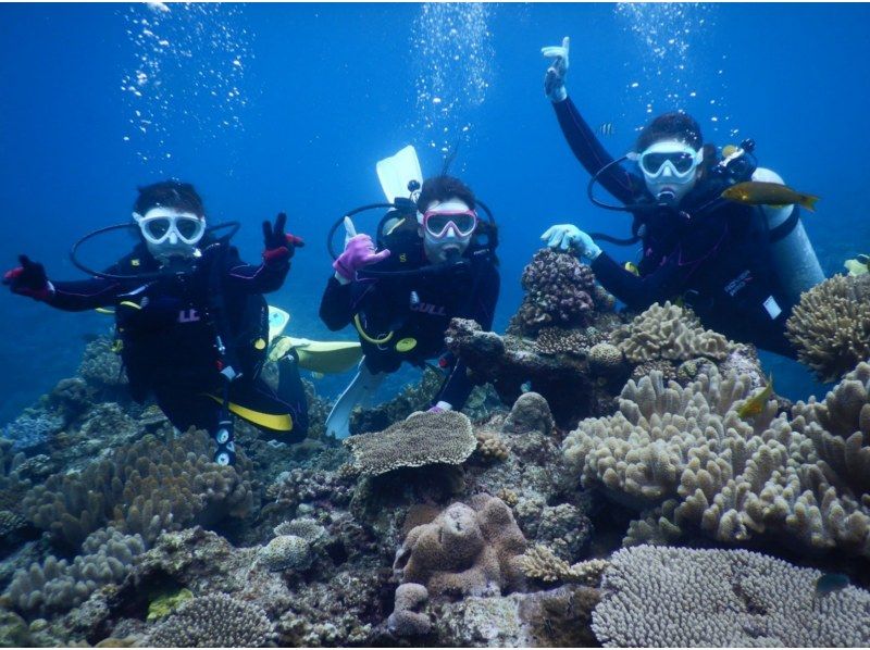 SALE！【沖縄・水納島・瀬底島】ボート体験ダイビング（２ダイブ）　写真動画撮影プレゼントの紹介画像