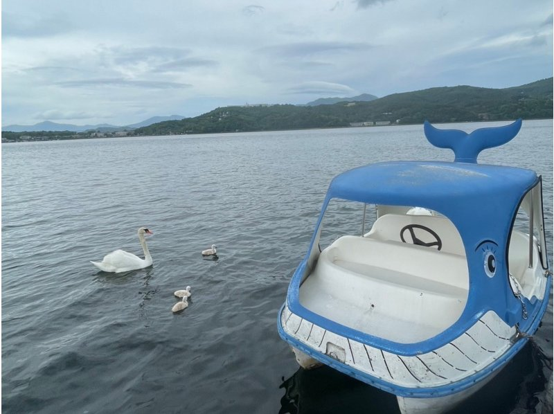 [With photo] Mt. Fuji swan boats and their waterside friendsの紹介画像