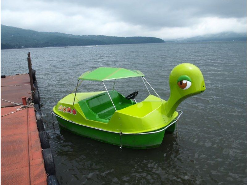 SALE! [Photos included] Swan boats and their friends on the waterの紹介画像