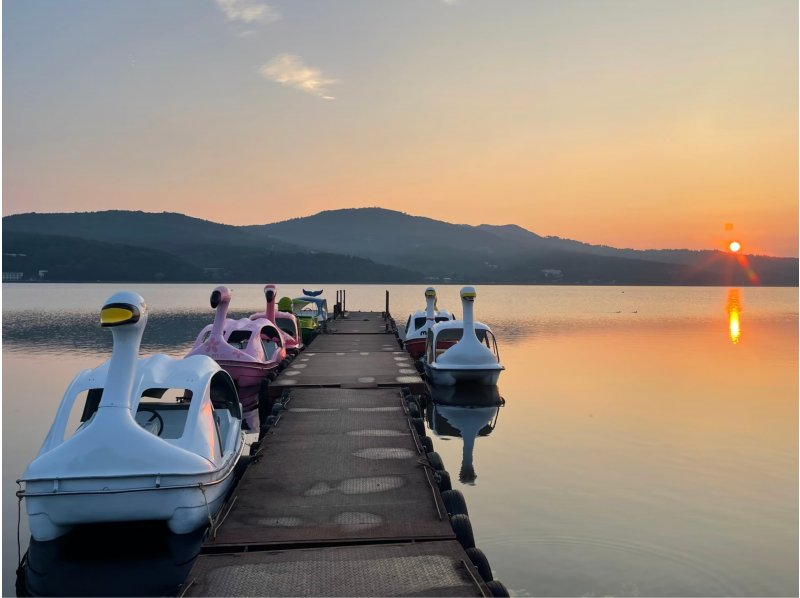 [With photo] Mt. Fuji swan boats and their waterside friendsの紹介画像