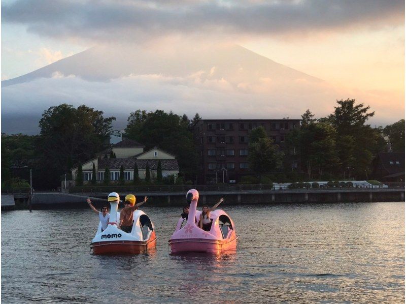 SALE！【写真撮影付】スワンボートと水辺の仲間たちの紹介画像