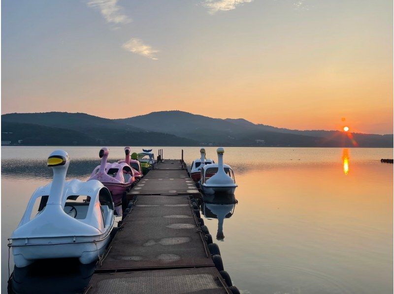 SALE! [Photos included] Swan boats and their friends on the waterの紹介画像