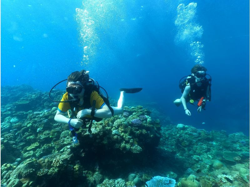 SALE! [Okinawa main island, Nakijin, Kouri Island] Boat experience diving (2 dives) Photo and video shooting giftの紹介画像