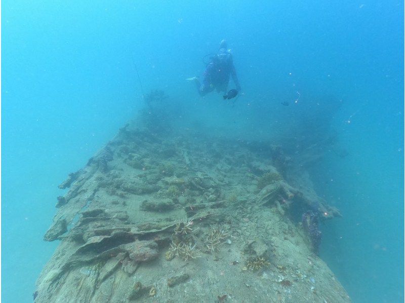 【恋の島　古宇利（こうり島）・今帰仁（なきじん）】ボートファンダイビング（２ダイブ）　写真動画撮影プレゼントの紹介画像