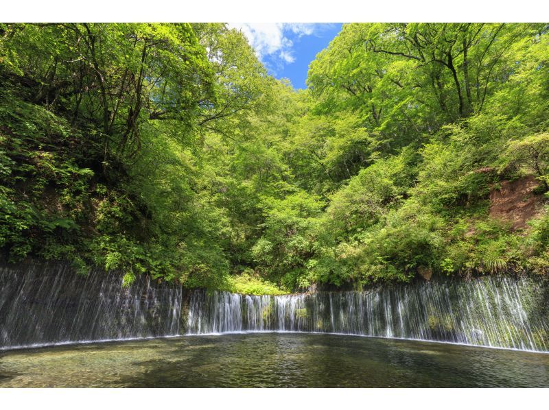 轻井泽避暑胜地、冰川神社、川越小江户“足袋”一日游（东京出发）の紹介画像