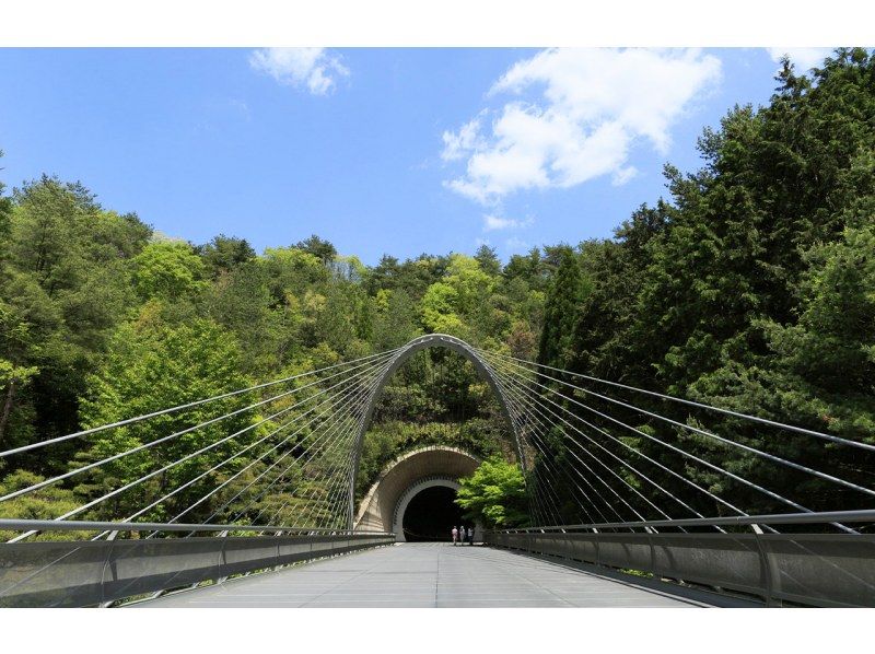 【日帰り/市内ホテルからの送迎です】MIHO MUSEUM・琵琶湖湖中鳥居の紹介画像