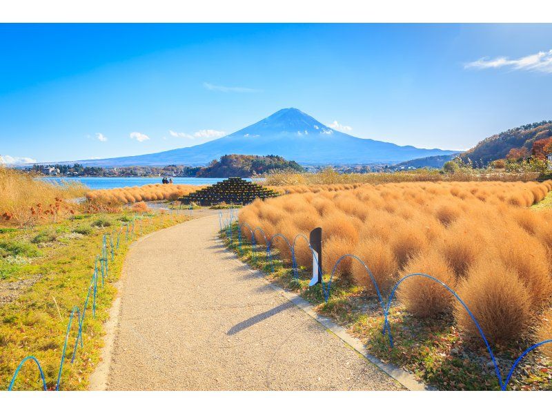 A day trip to Mt. Fuji Internet Celebrity's famous spots: Tenty Town, Oshino Hakkai, Lake Kawaguchi, and convenience store Lawson (departing from Tokyo)の紹介画像