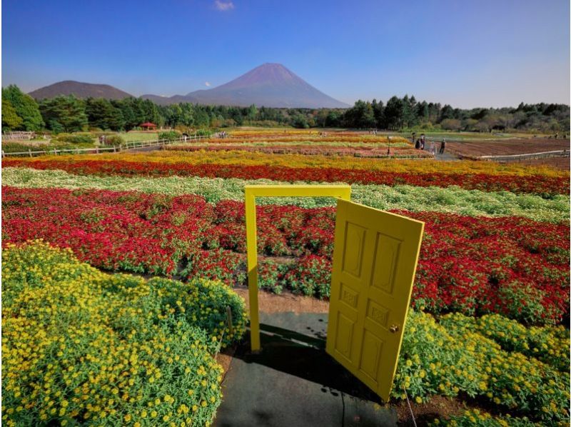 A day trip to Mt. Fuji Internet Celebrity's famous spots: Tenty Town, Oshino Hakkai, Lake Kawaguchi, and convenience store Lawson (departing from Tokyo)の紹介画像