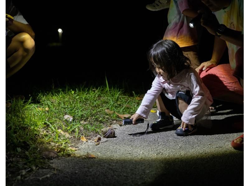 【石垣島/夜】★１時間 ヤシガニ探そう！お子様でも安全なフィールドで開催！石垣島の夜の生き物探索 &星空鑑賞★ お手軽ナイトウォーク！の紹介画像