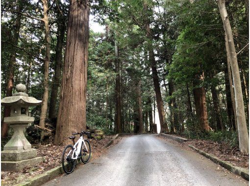 関西のサイクリング・マウンテンバイクの予約【日本旅行】オプショナルツアー・アクティビティ・遊びの体験予約