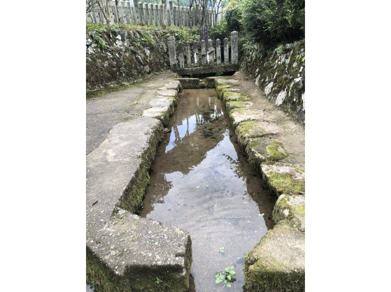 [Hyogo/Harima] e-bike cycling tour: Cycling through the naturally rich Shiso region, the mythical home of sake, and enjoying a healthy fermented lunch at a sake breweryの紹介画像