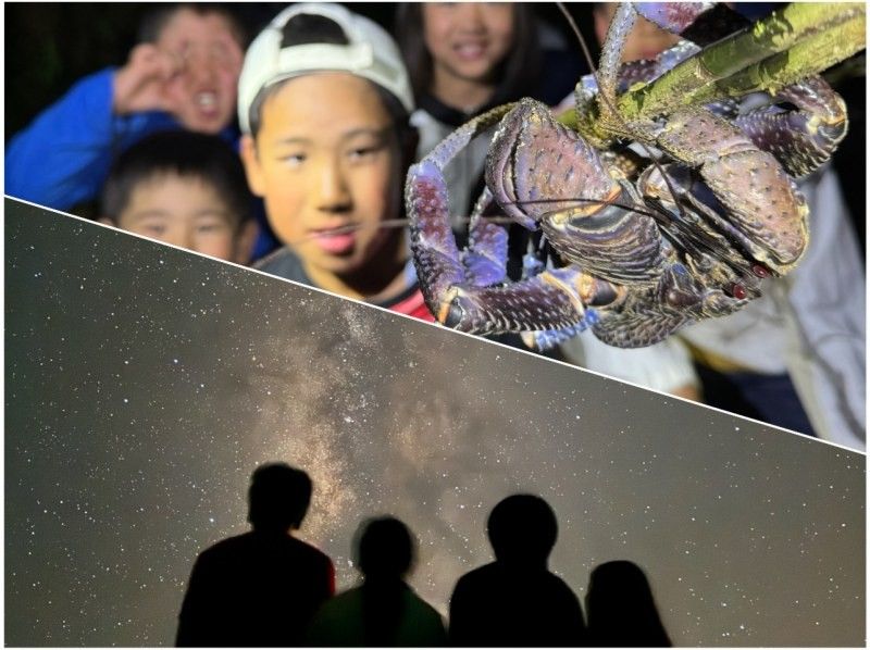 【宮古島・夜定番・星空撮影OK！】《ジャングルナイトツアー！》★ファミリー歓迎！★当日予約OK！の紹介画像