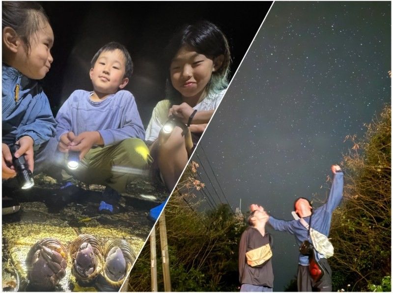 【宮古島・夜定番・星空撮影OK！】《ジャングルナイトツアー！》★ファミリー歓迎！★当日予約OK！の紹介画像