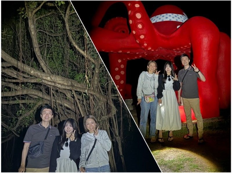 【宮古島・夜定番・星空撮影OK！】《ジャングルナイトツアー！》★ファミリー歓迎！★当日予約OK！の紹介画像