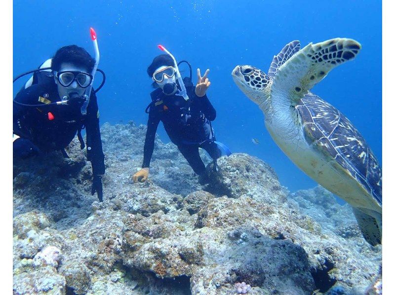 グループ割【石垣島・ダイビングライセンス・Cカード・2日間】最短2日間で取れる人気のPADIオープンウォーターライセンス取得コース！の紹介画像