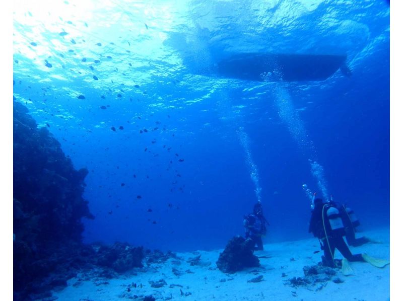 グループ割【石垣島・ダイビングライセンス・Cカード・2日間】最短2日間で取れる人気のPADIオープンウォーターライセンス取得コース！の紹介画像