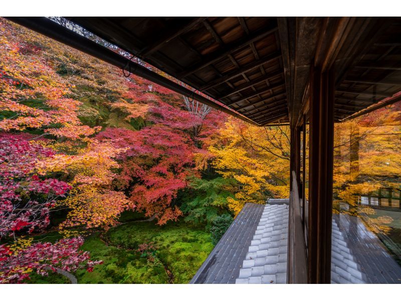 Biwako Valley & Shirahige Shrine Day Tour