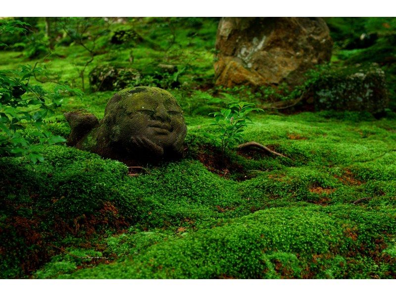 琵琶湖溪谷 & 白须神社一日游の紹介画像