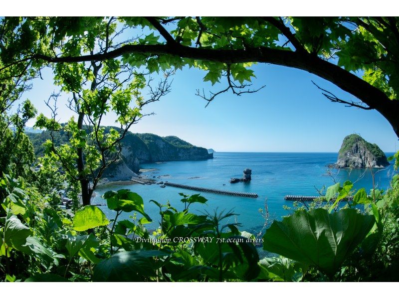 [Hokkaido, Shakotan] Experience diving in the blue sea world of Shakotan!の紹介画像