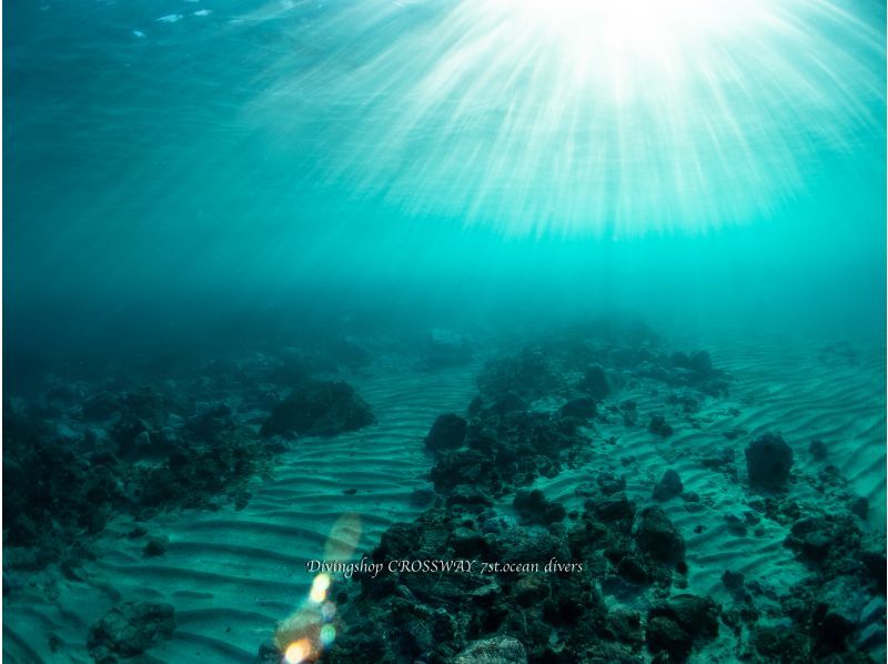 【北海道・積丹】積丹ブルーの海の世界で体験ダイビング！の紹介画像