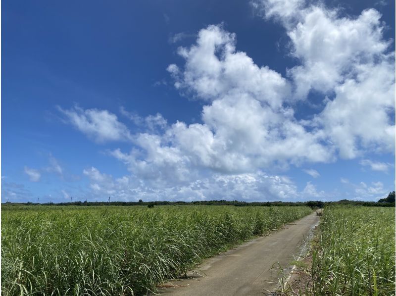 [Okinawa, Miyakojima] Photo walk to discover the charm of remote islands