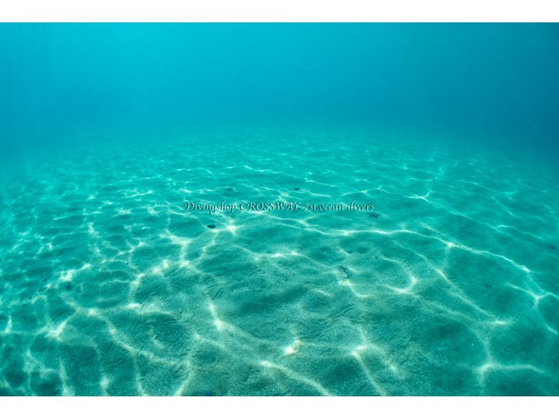 [Hokkaido, Shakotan] Fun diving tour in the blue sea world of Shakotan!の紹介画像