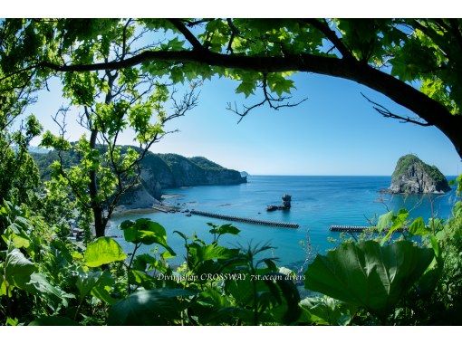 [Hokkaido, Shakotan] Fun diving tour in the blue sea world of Shakotan!の紹介画像