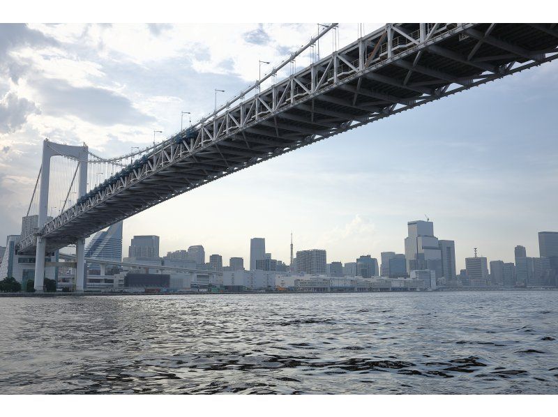 [Tokyo Daiba] 60-minute private cruise plan ☆彡A, departing/arriving at Gururi Parkの紹介画像