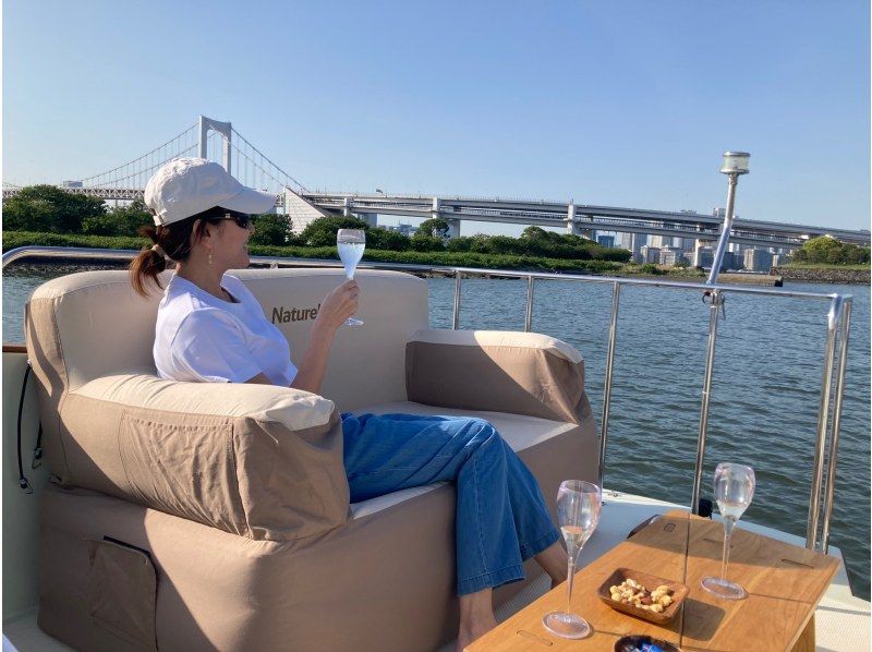 【東京 台場】ぐるり公園 発/着； 60分 貸切クルージング プラン☆彡Aの紹介画像