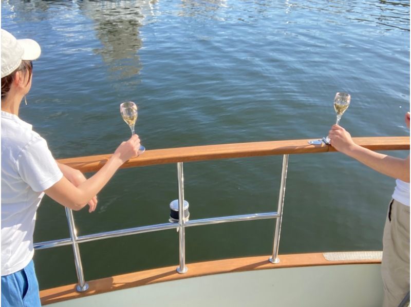 【东京台场】梦之岛出发/Gururi公园到达；包船游览计划☆彡Cの紹介画像