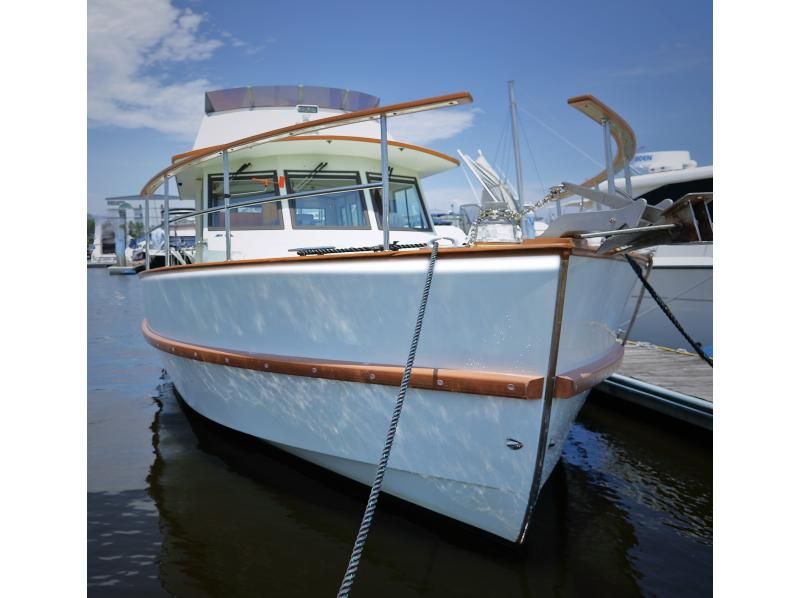 【东京台场】梦之岛出发/Gururi公园到达；包船游览计划☆彡Cの紹介画像