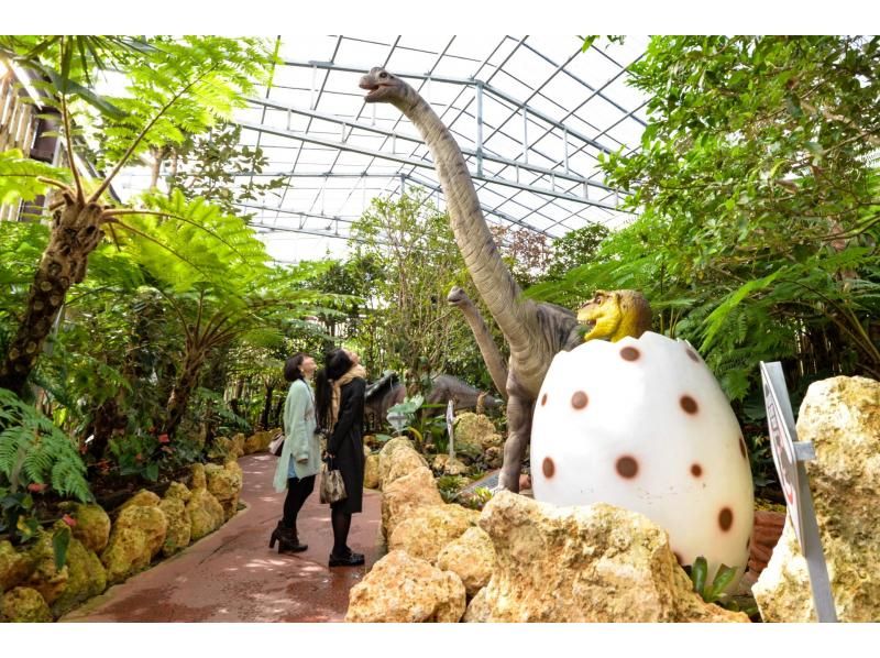 ★All admission fees included★ [Departing from Naha, Okinawa] Okinawa Churaumi Aquarium, Kouri Island, Manzamo, and Nago Pineapple Park Bus Tour (Course A)の紹介画像