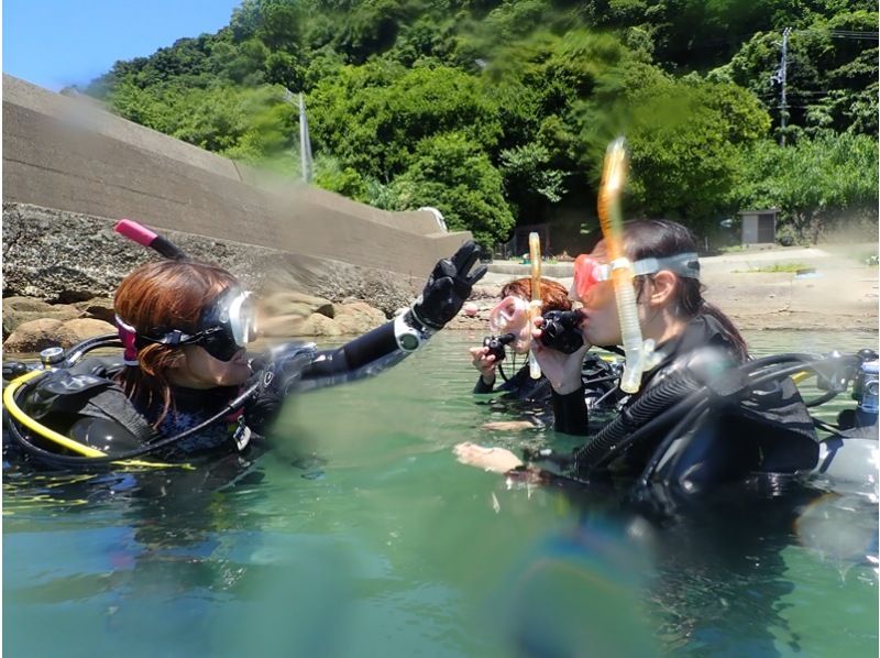 【兵庫・西明石駅前】体験ダイビング　お一人様でもＯＫ♪水着1枚でご参加、お手軽に水中世界を体験！の紹介画像